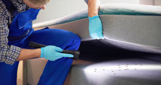 Best Mosquito Control Services  in Riverside, UT