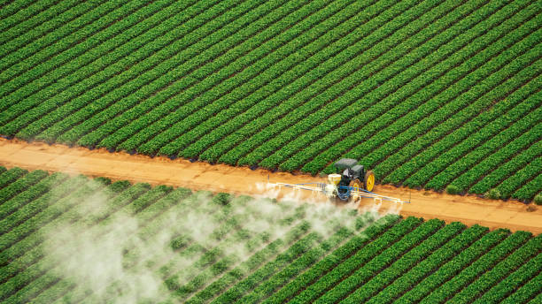 Best Commercial Pest Control Services  in Riverside, UT